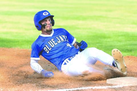 Bluejay Baseball