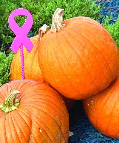 October is Breast Cancer Awareness Month! Stock Photo.