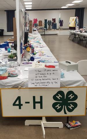 4-H Exhibits Photo Submitted