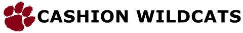 Alt Text for Image