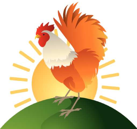 Illegal Cockfighting