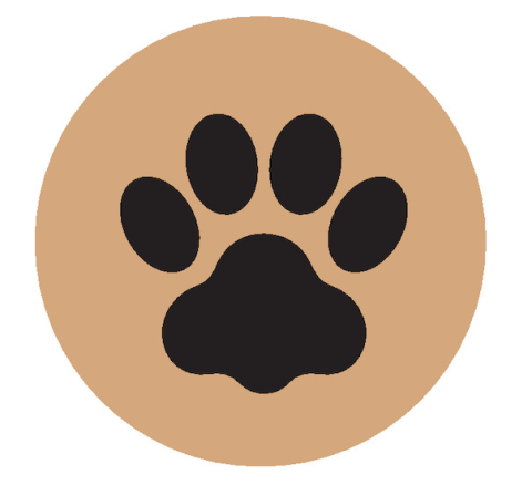 How to keep our furry friends safe in extreme heat.