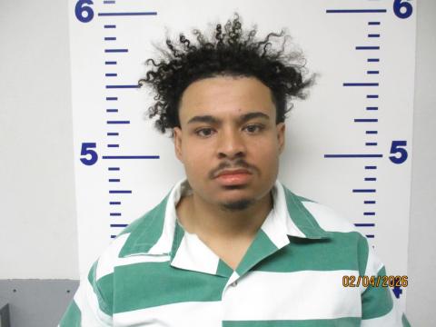 Michael Brendaniel Adeniran