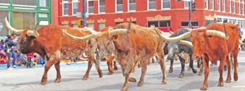 Photo by Mike Monahan Here come the Longhorns