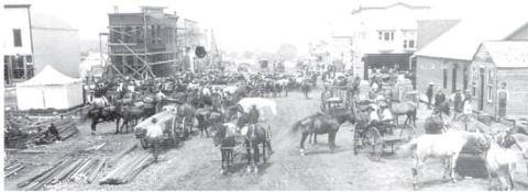 Alt Text for Image