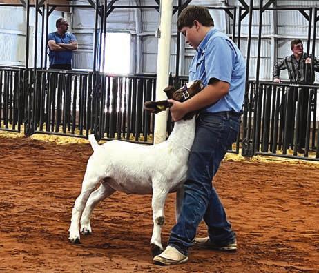 FFA member Jace Taylor with his Grand Reserve Market Wether.