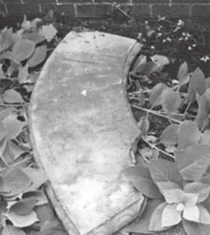Vandalism at Apothecary Garden