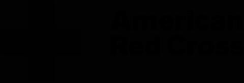 Alt Text for Image
