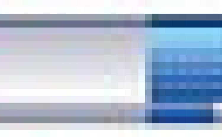 Alt Text for Image