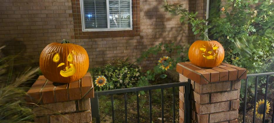 pumpkin