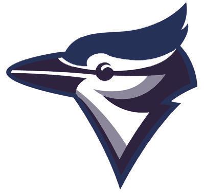 Alt Text for Image