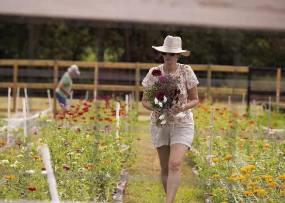 A customer picks fresh flowers during a u-pick event at Ladybug Lane Flower Farm in Guthrie. Photo by Brent Fuchs.