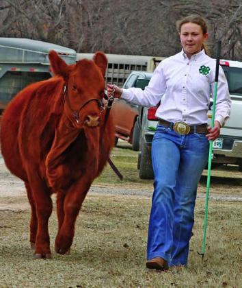 Hailey Drake with Steer