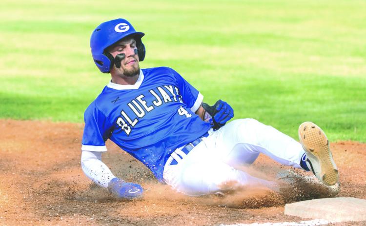Bluejay Baseball