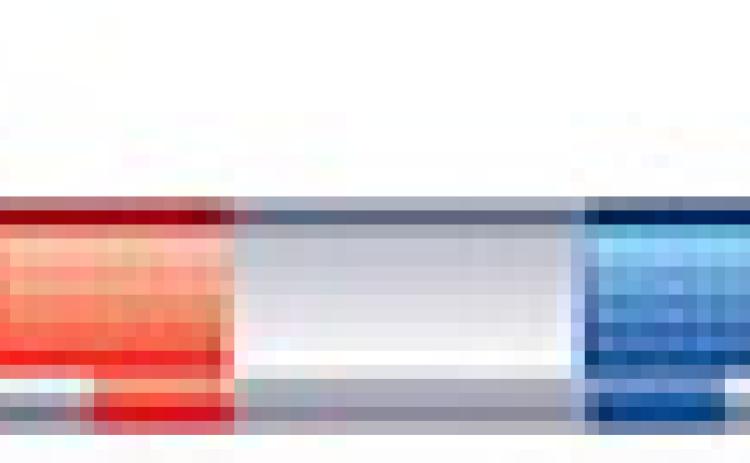 Alt Text for Image