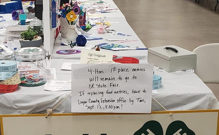 4-H Exhibits Photo Submitted