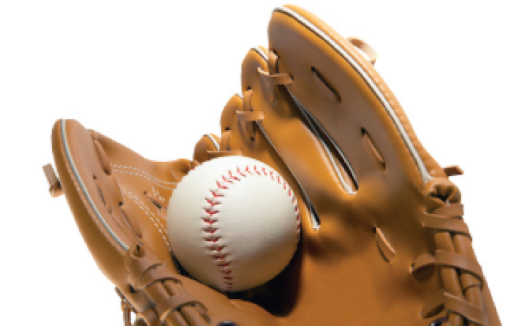Bluejays Baseball
