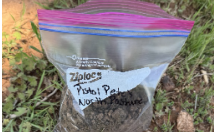 Soil Sample Procedure