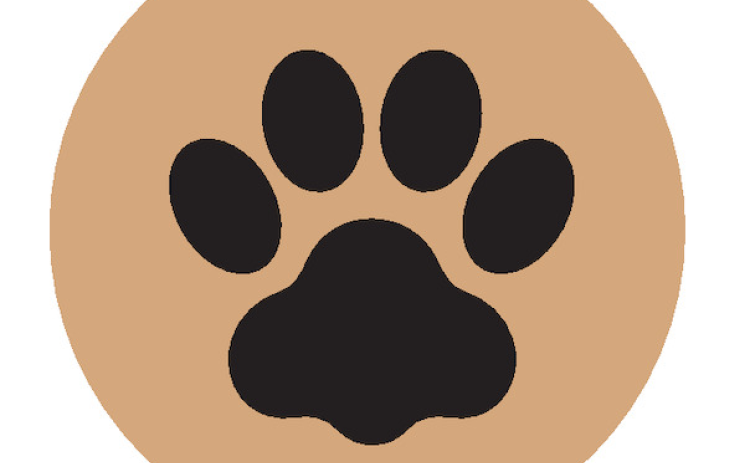 How to keep our furry friends safe in extreme heat.