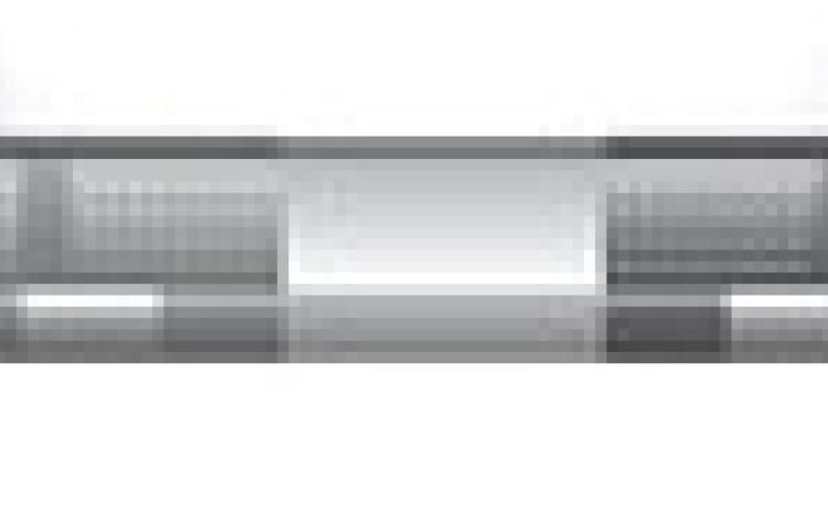 Alt Text for Image