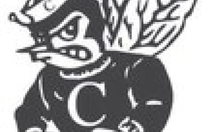 Alt Text for Image