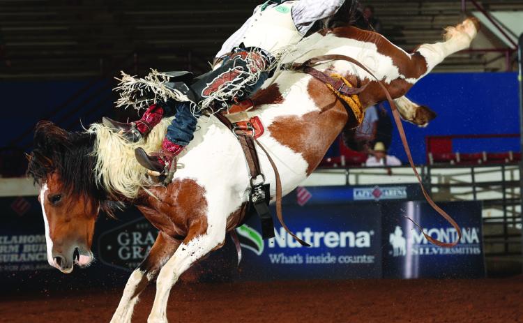 Brody Dent in the junior saddle bronc competition at Lazy E Arena. Courtesy of the World Champions Rodeo Alliance.