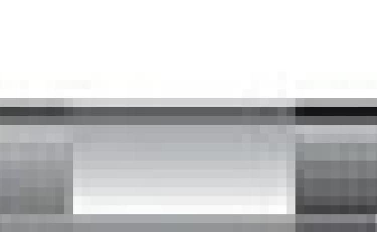 Alt Text for Image