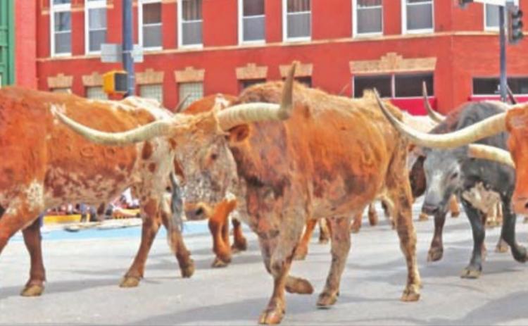 Photo by Mike Monahan Here come the Longhorns