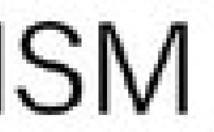 Alt Text for Image