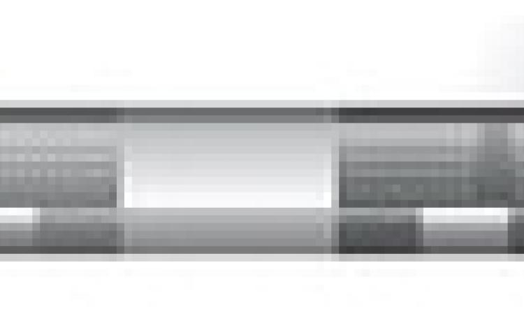 Alt Text for Image