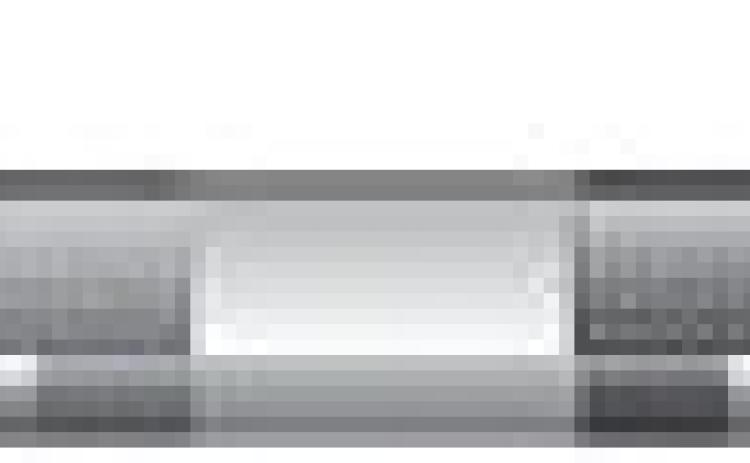 Alt Text for Image