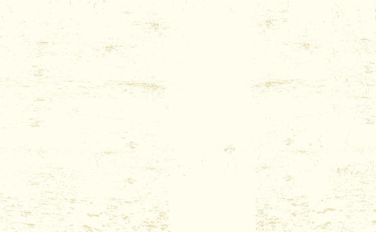 Alt Text for Image