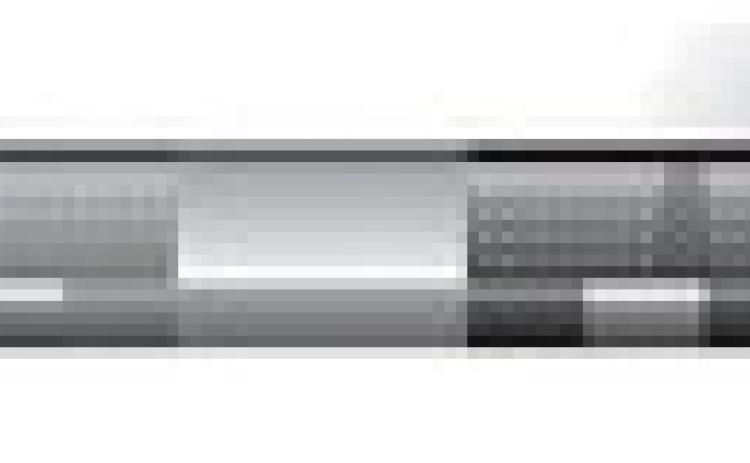 Alt Text for Image