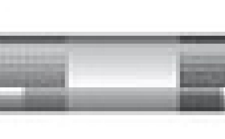 Alt Text for Image
