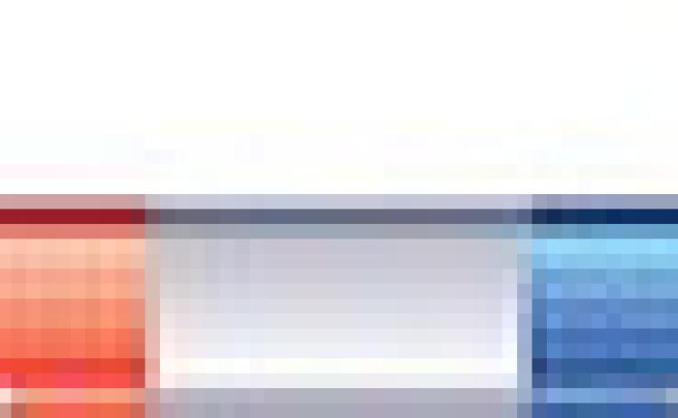 Alt Text for Image