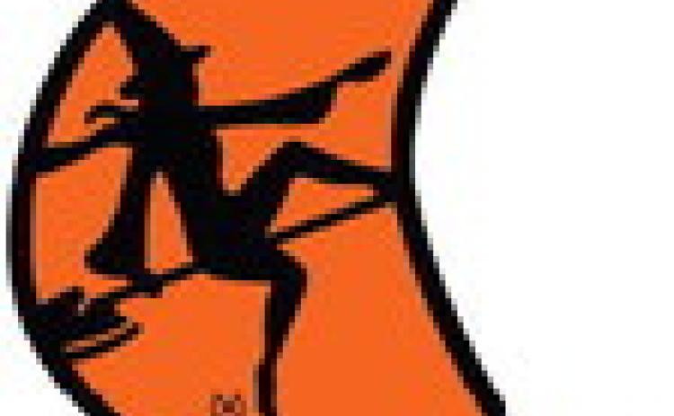 Alt Text for Image