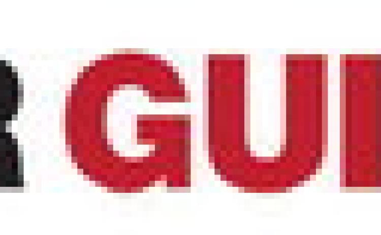 Alt Text for Image