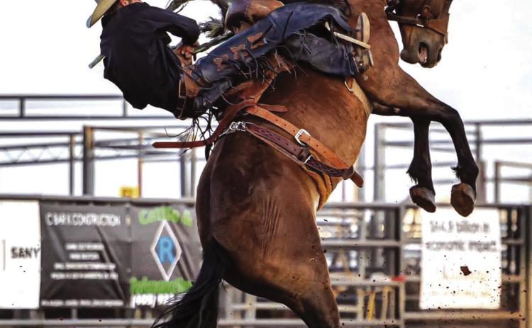 Rodeo