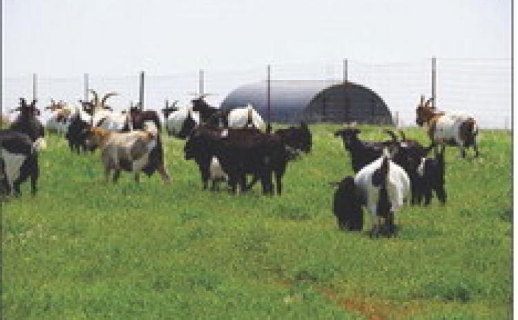 Langston School of Agriculture
