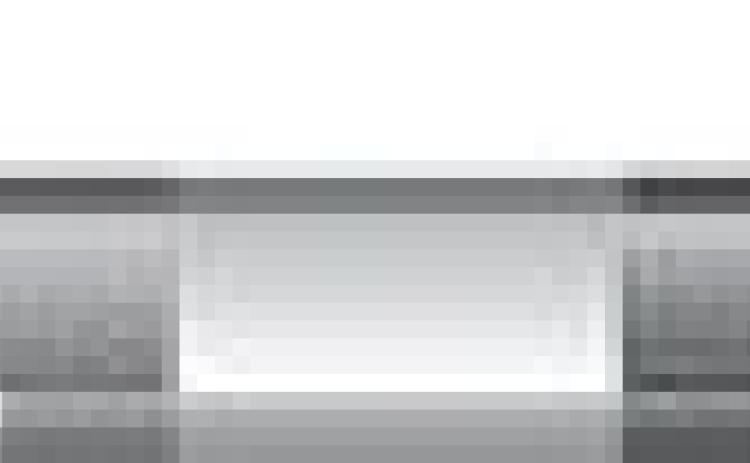 Alt Text for Image