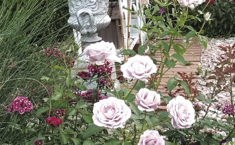 A Garden in Guthrie. Submitted Photo