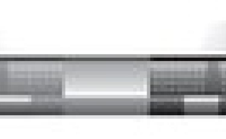 Alt Text for Image