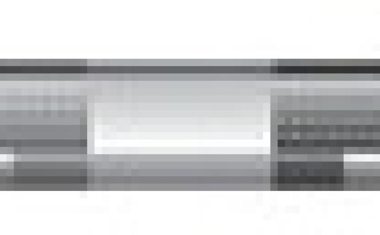 Alt Text for Image